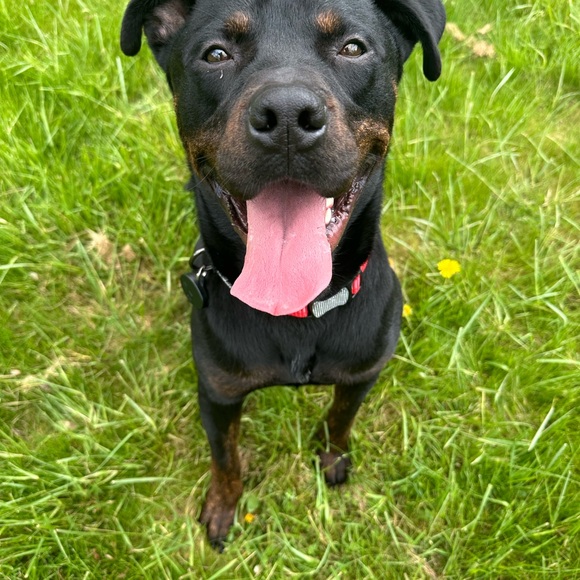 Meet your Posher, Kelly - Picture 6 of 7